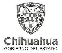 chichuahua